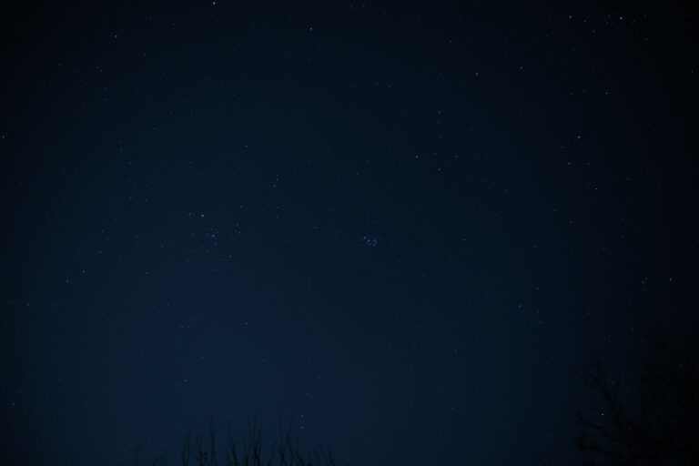 Star-filled night sky above a dark horizon