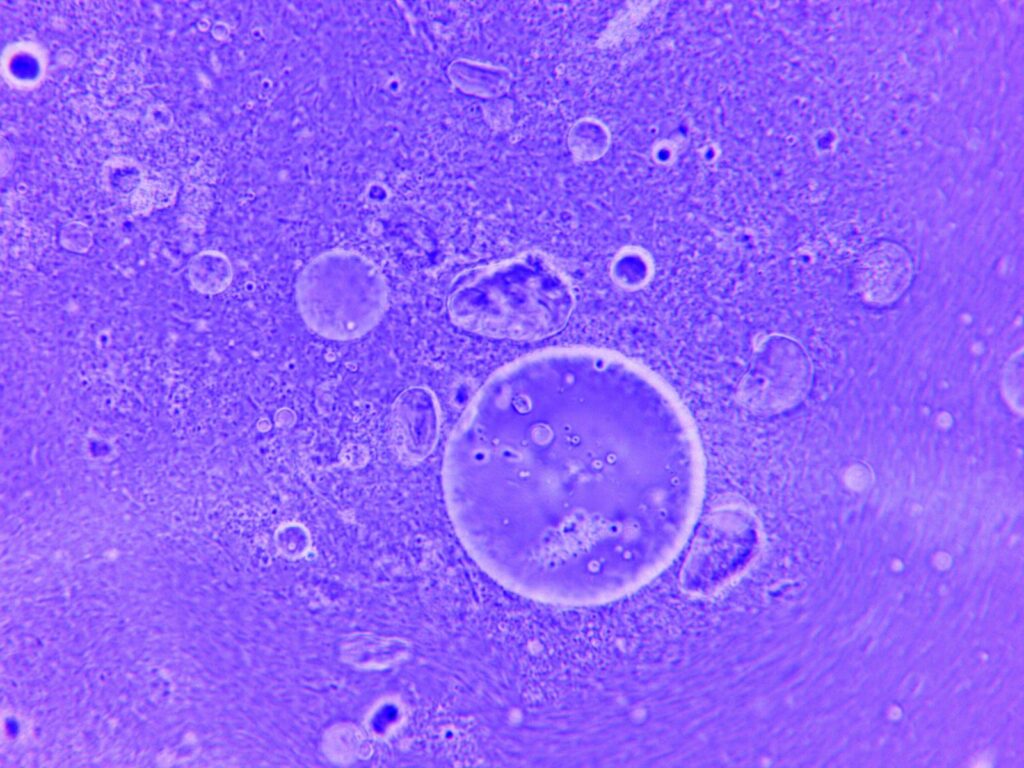 Abstract blue microscopy image of scattered droplets and fine particles