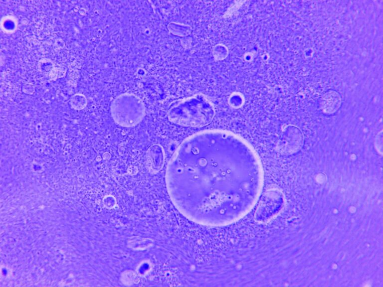 Abstract blue microscopy image of scattered droplets and fine particles