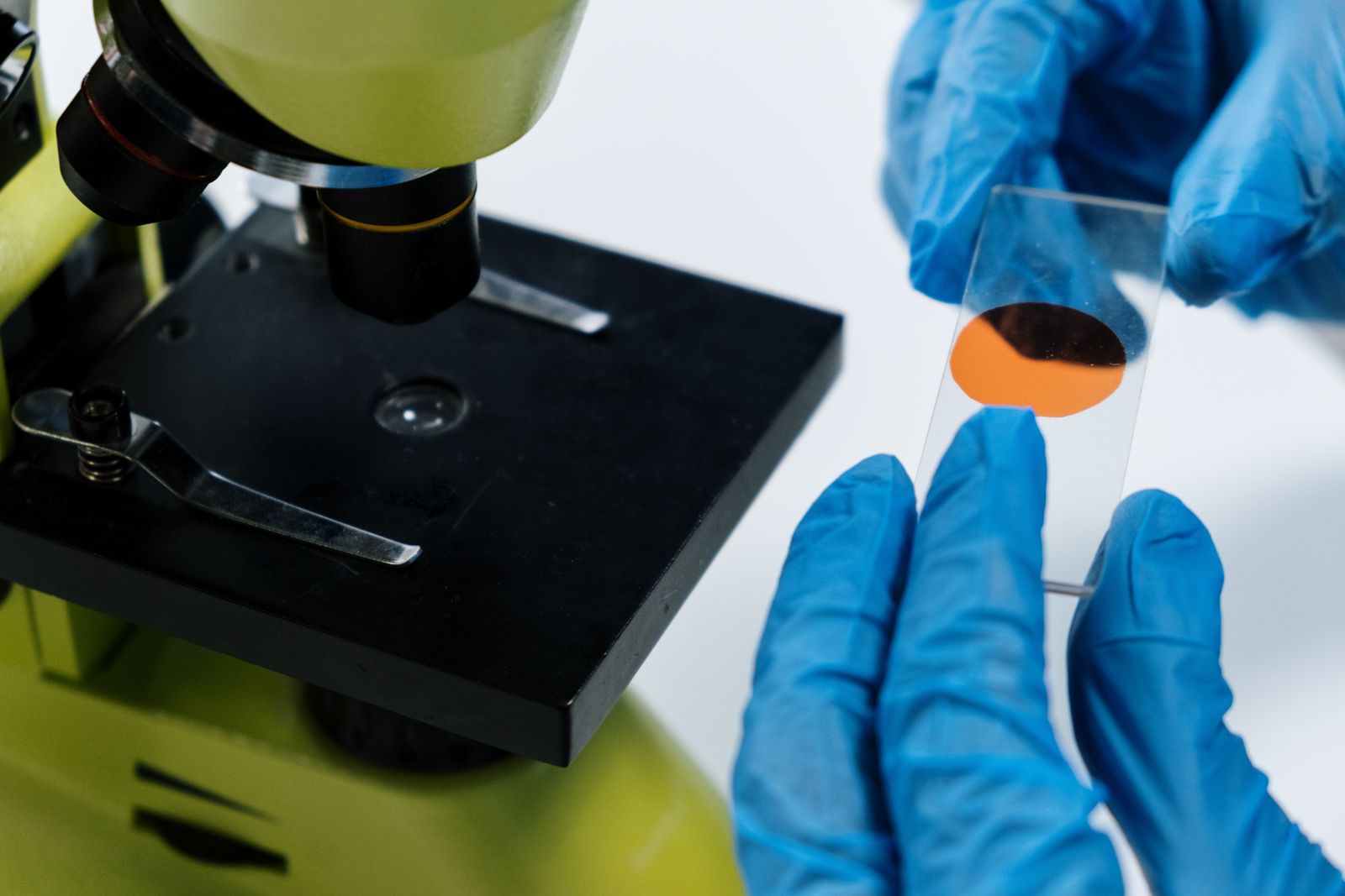 Gloved hands positioning a microscope slide on a laboratory bench
