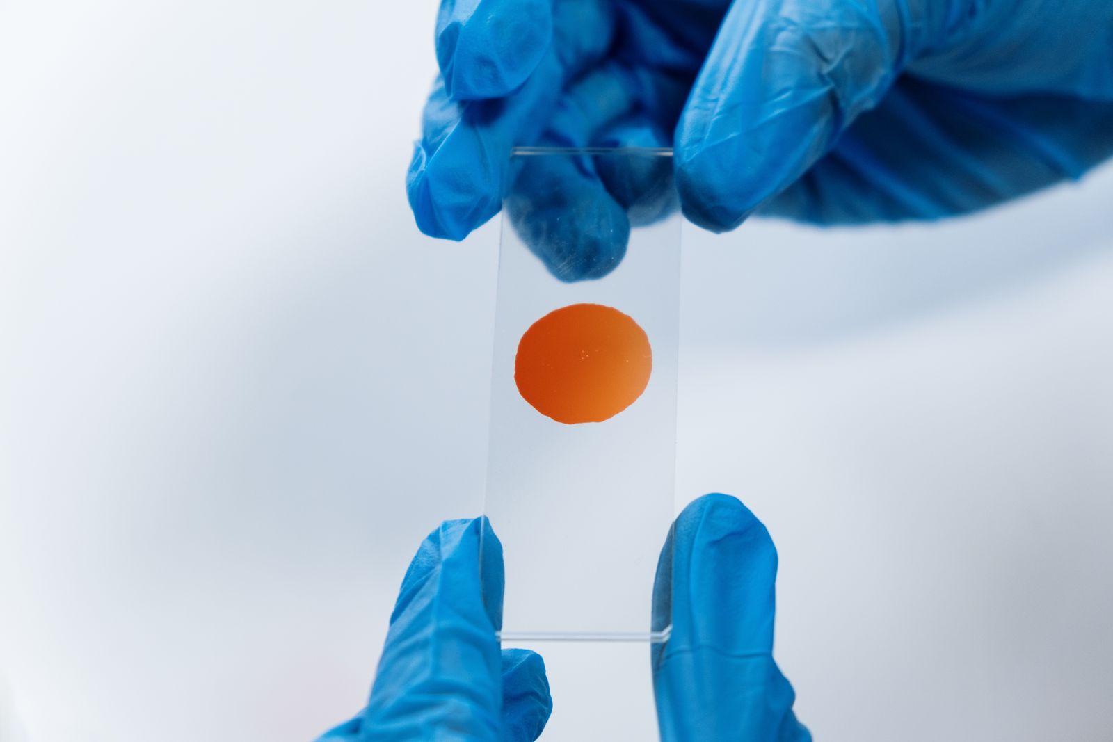 Gloved hands holding a glass microscope slide carrying a sample