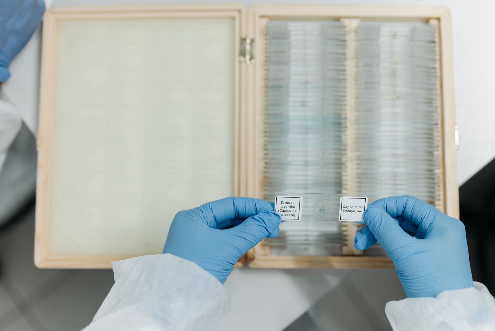 A scientist handling microscope slides in a laboratory