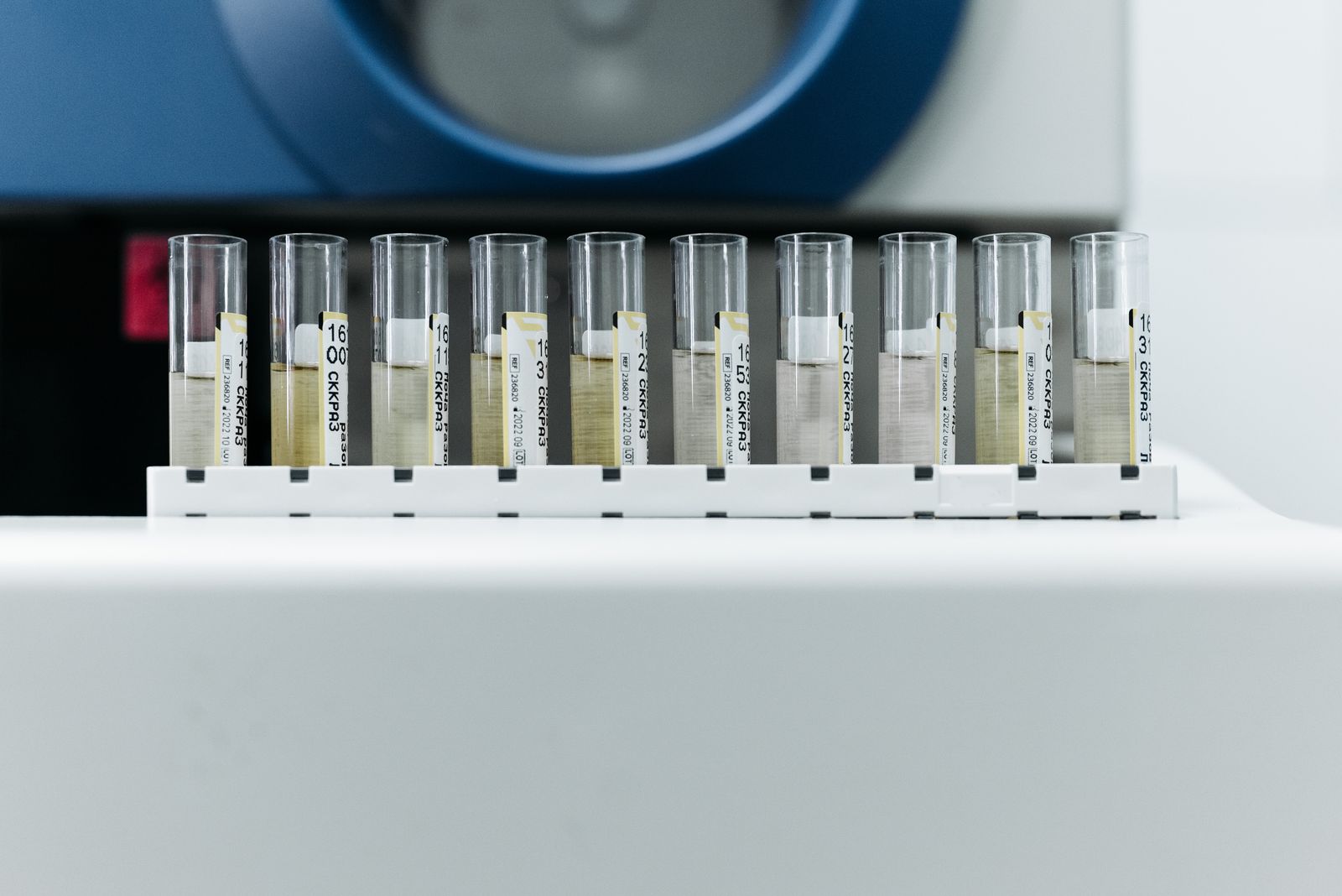 A row of labelled test tubes in a rack in a modern laboratory
