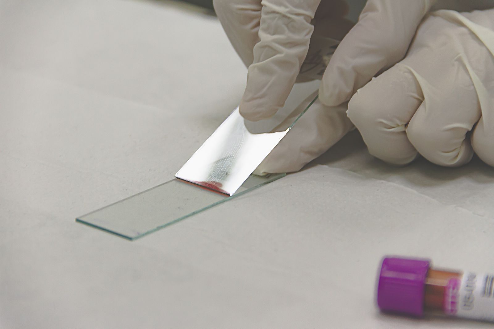 A scientist preparing a glass slide with a sample for microscopy