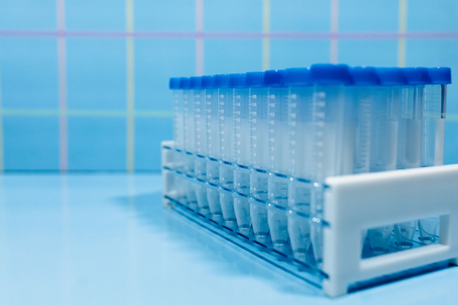 Laboratory test tubes in a rack on a reflective blue surface