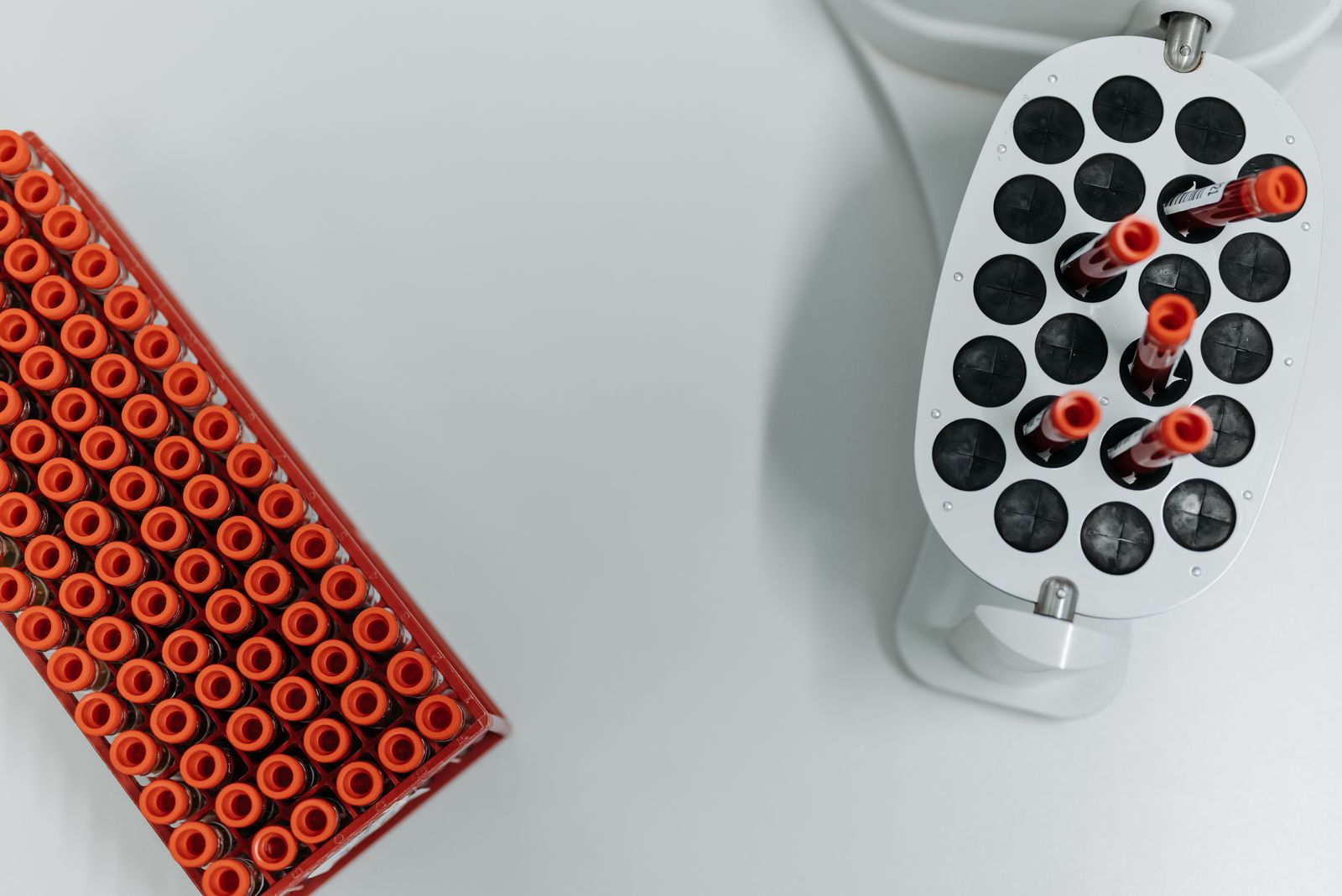 Sample tubes arranged in a laboratory centrifuge