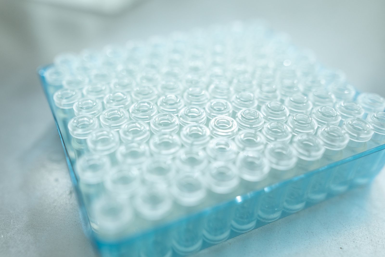 Clear glass vials arranged in a blue laboratory tray